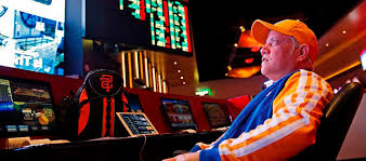 Вход на зеркало Casino7